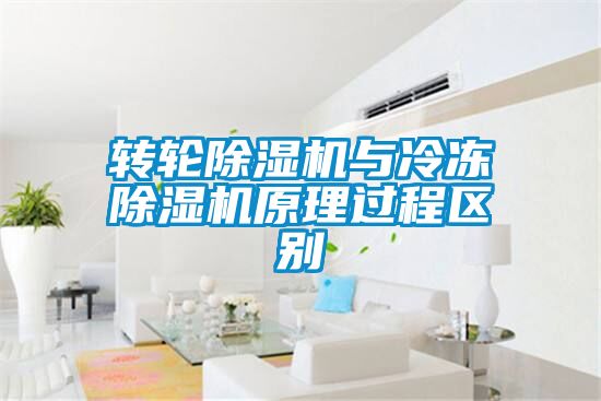 轉輪除濕機與冷凍除濕機原理過程區別