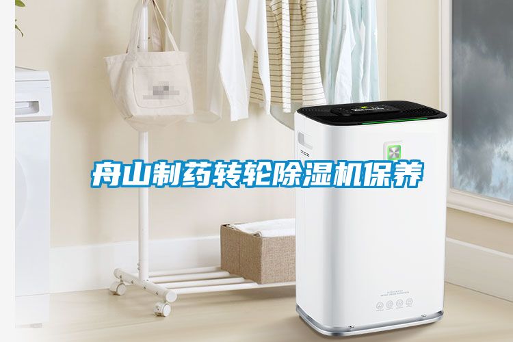 舟山制藥轉輪除濕機保養