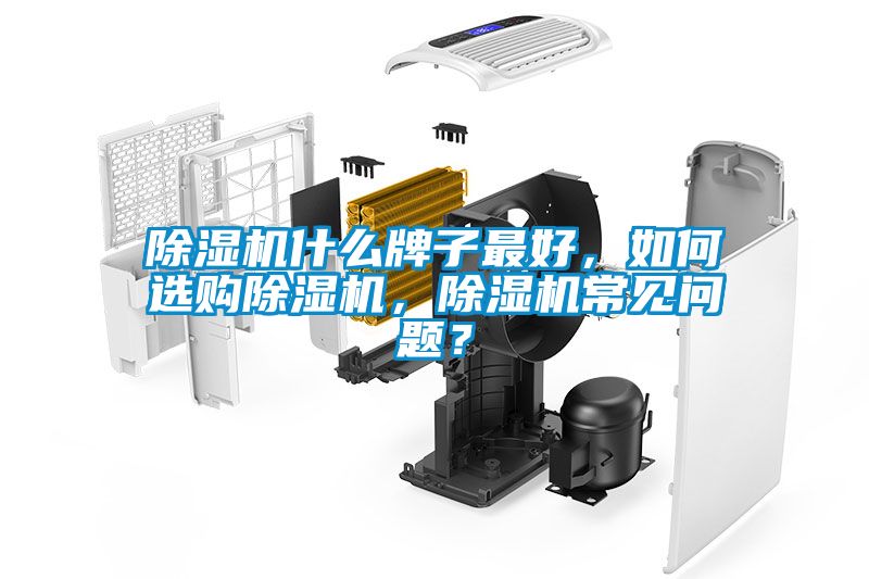 除濕機什么牌子最好，如何選購除濕機，除濕機常見問題？