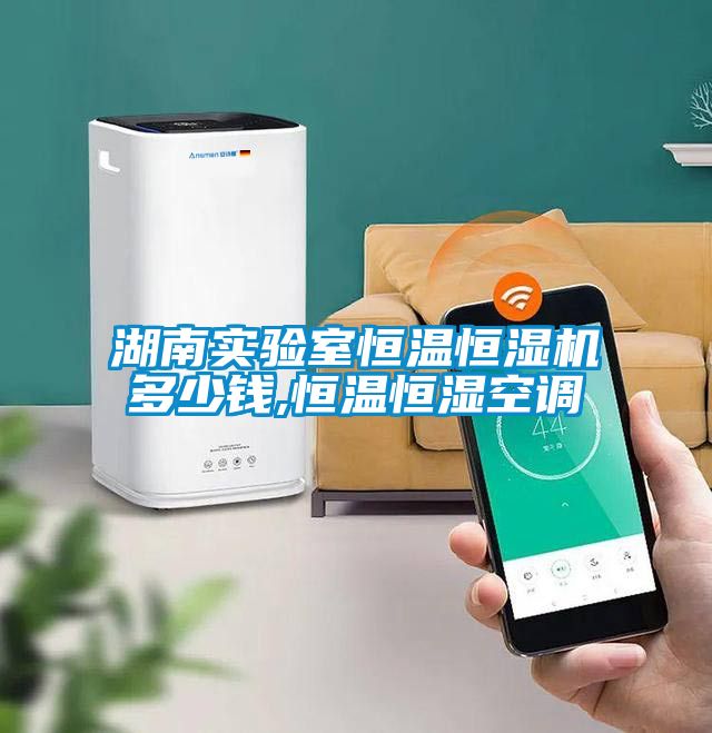 湖南實驗室恒溫恒濕機(jī)多少錢,恒溫恒濕空調(diào)
