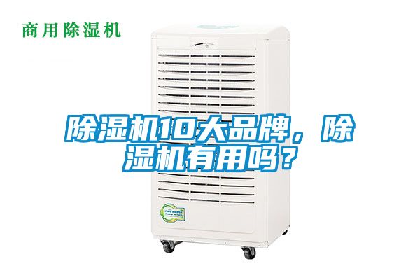 除濕機10大品牌，除濕機有用嗎？