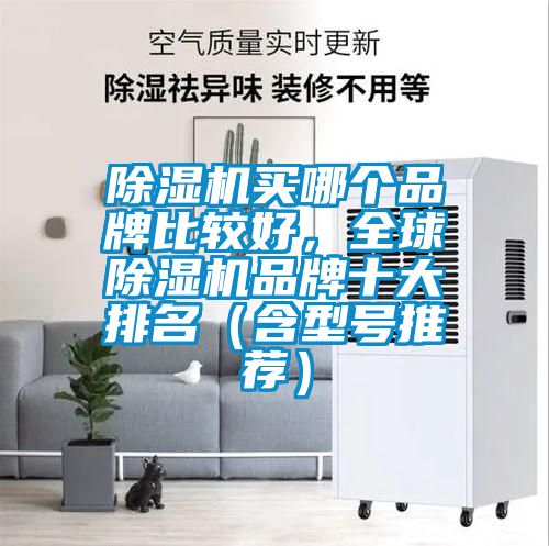 除濕機買哪個品牌比較好，全球除濕機品牌十大排名（含型號推薦）
