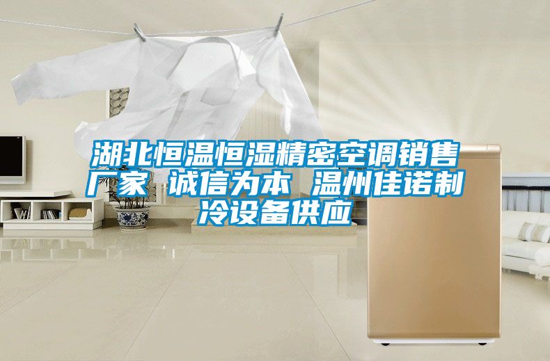 湖北恒溫恒濕精密空調銷售廠家 誠信為本 溫州佳諾制冷設備供應