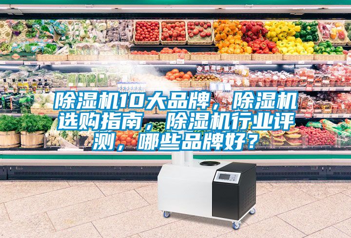 除濕機10大品牌，除濕機選購指南，除濕機行業評測，哪些品牌好？