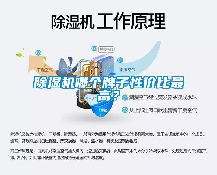 除濕機(jī)哪個(gè)牌子性價(jià)比最高？