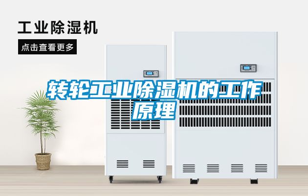 轉輪工業除濕機的工作原理