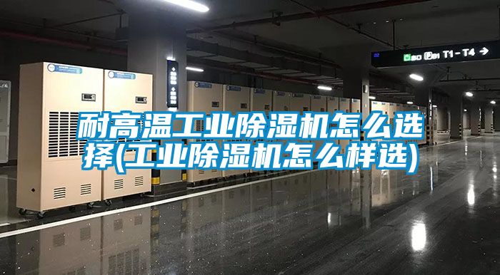 耐高溫工業除濕機怎么選擇(工業除濕機怎么樣選)
