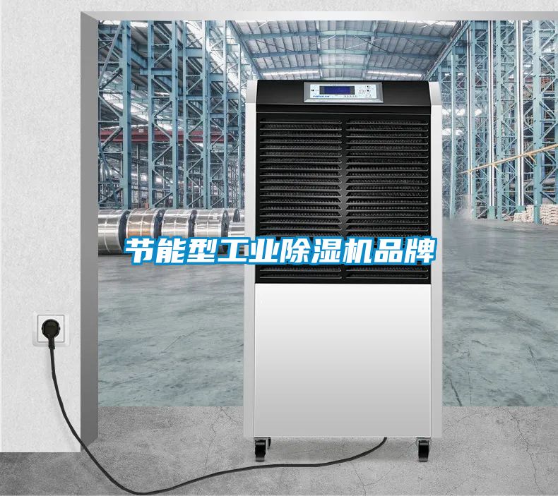 節能型工業除濕機品牌
