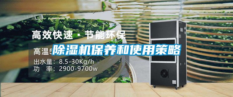 除濕機保養和使用策略