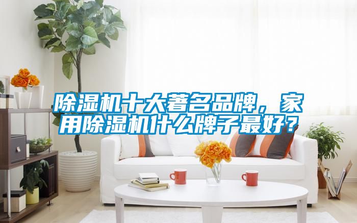 除濕機十大著名品牌，家用除濕機什么牌子最好？