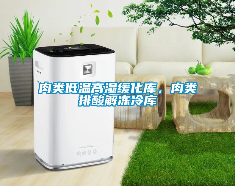 肉類低溫高濕緩化庫(kù)，肉類排酸解凍冷庫(kù)