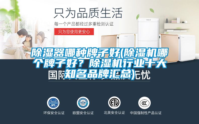 除濕器哪種牌子好(除濕機(jī)哪個(gè)牌子好？除濕機(jī)行業(yè)十大知名品牌匯總)