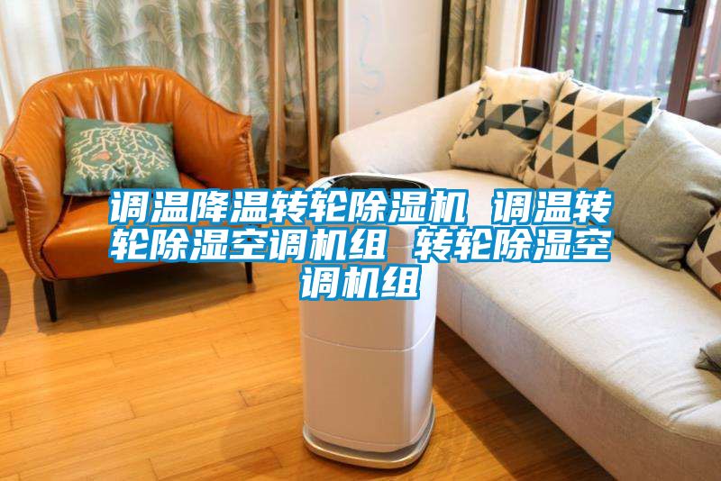 調溫降溫轉輪除濕機 調溫轉輪除濕空調機組 轉輪除濕空調機組