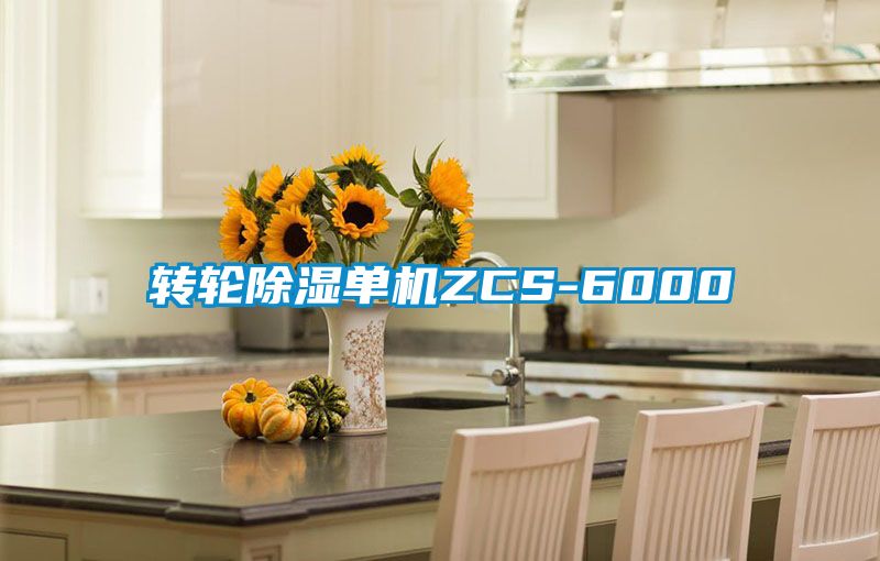 轉輪除濕單機ZCS-6000