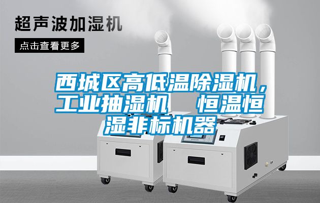西城區(qū)高低溫除濕機，工業(yè)抽濕機  恒溫恒濕非標(biāo)機器