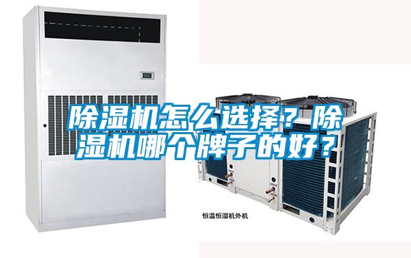除濕機怎么選擇？除濕機哪個牌子的好？