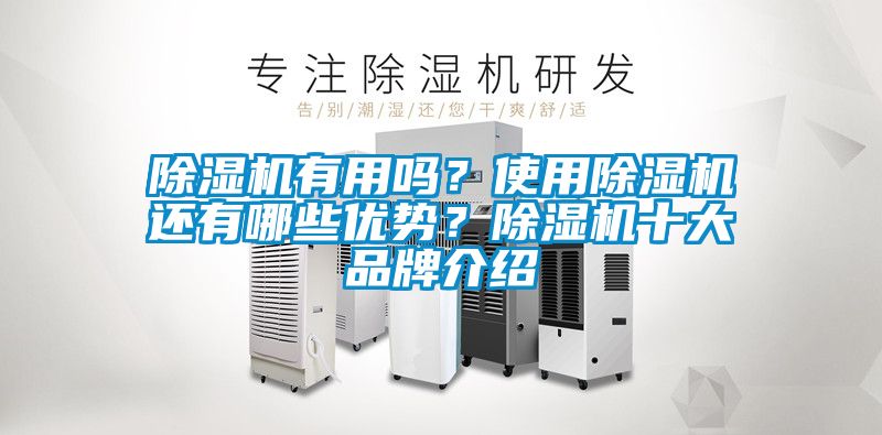 除濕機有用嗎？使用除濕機還有哪些優勢？除濕機十大品牌介紹