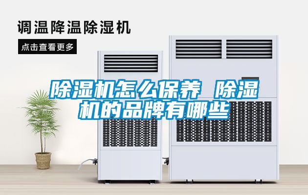 除濕機怎么保養 除濕機的品牌有哪些