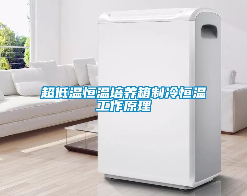 超低溫恒溫培養箱制冷恒溫工作原理