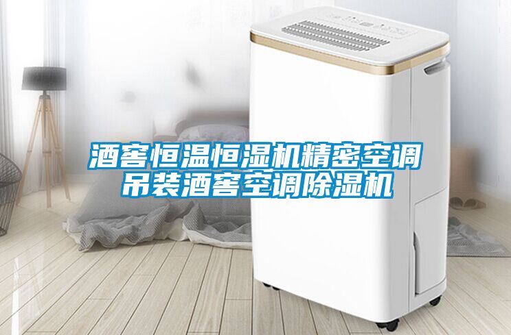 酒窖恒溫恒濕機精密空調吊裝酒窖空調除濕機