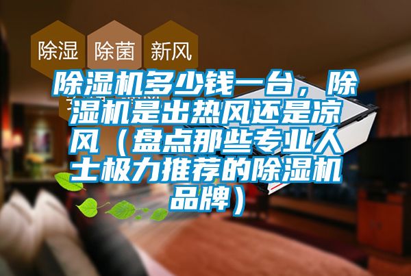 除濕機多少錢一臺，除濕機是出熱風還是涼風（盤點那些專業人士極力推薦的除濕機品牌）