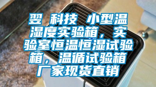 翌昇科技 小型溫濕度實驗箱，實驗室恒溫恒濕試驗箱，溫循試驗箱廠家現貨直銷