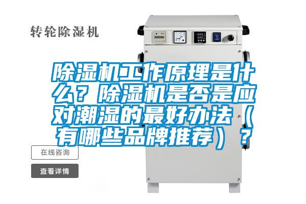 除濕機工作原理是什么？除濕機是否是應對潮濕的最好辦法（有哪些品牌推薦）？