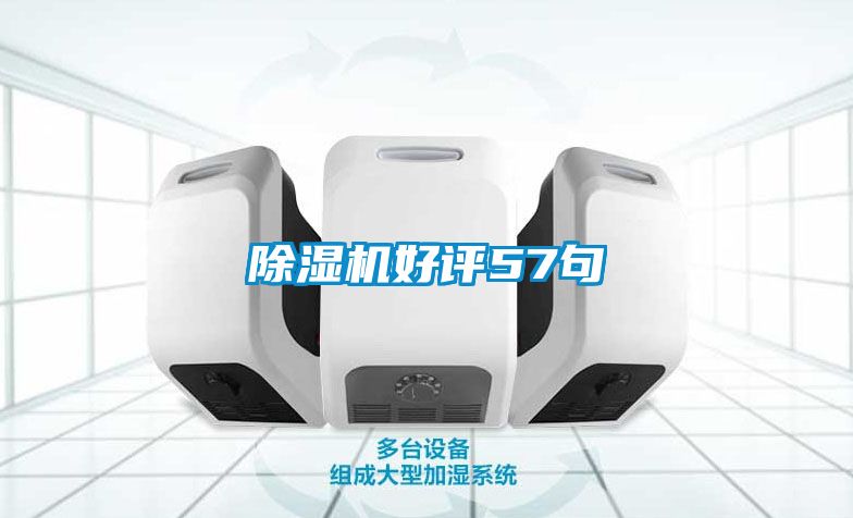 除濕機好評57句