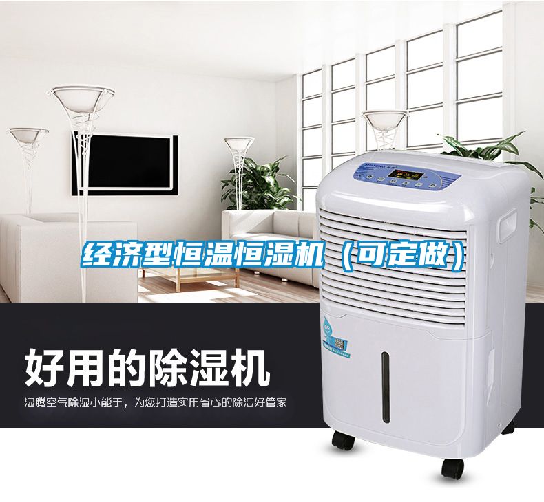 經濟型恒溫恒濕機（可定做）