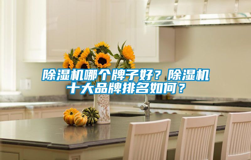 除濕機哪個牌子好？除濕機十大品牌排名如何？