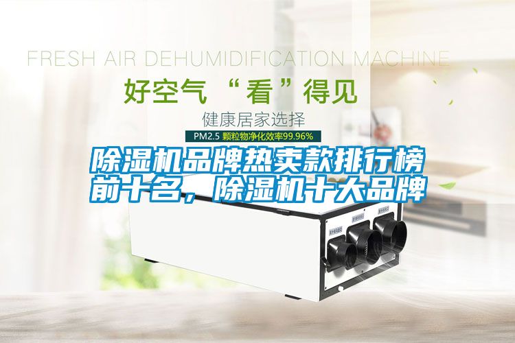除濕機品牌熱賣款排行榜前十名，除濕機十大品牌