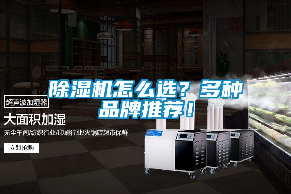 除濕機怎么選？多種品牌推薦！