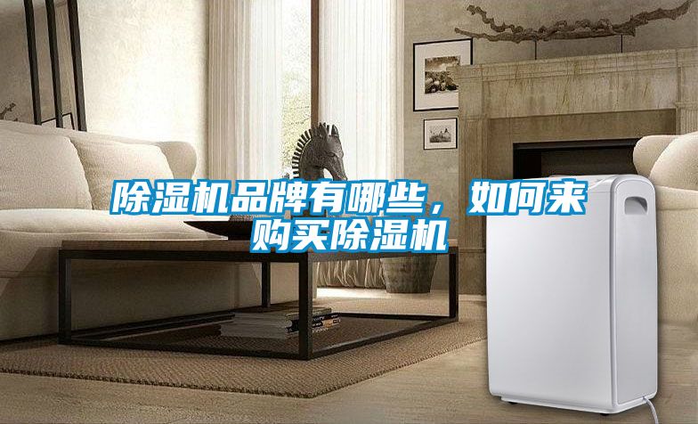 除濕機品牌有哪些，如何來購買除濕機