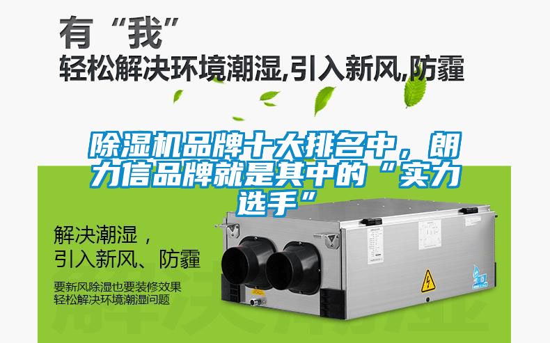除濕機(jī)品牌十大排名中，朗力信品牌就是其中的“實(shí)力選手”