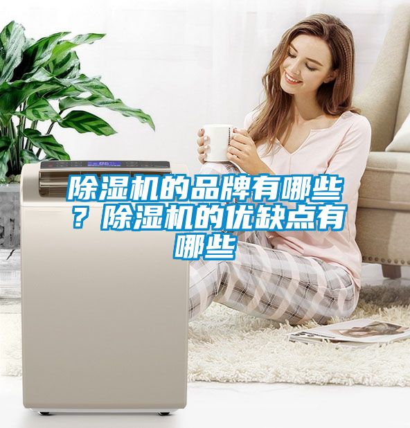除濕機的品牌有哪些？除濕機的優缺點有哪些
