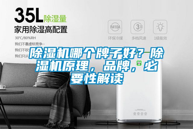 除濕機哪個牌子好？除濕機原理，品牌，必要性解讀