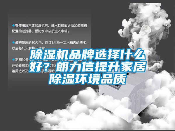 除濕機品牌選擇什么好？朗力信提升家居除濕環境品質