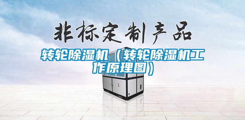 轉輪除濕機（轉輪除濕機工作原理圖）