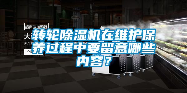 轉輪除濕機在維護保養過程中要留意哪些內容？