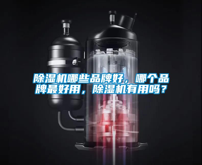 除濕機(jī)哪些品牌好，哪個(gè)品牌最好用，除濕機(jī)有用嗎？