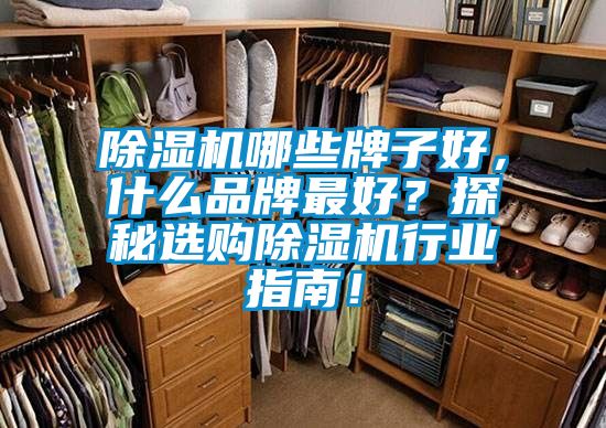 除濕機(jī)哪些牌子好，什么品牌最好？探秘選購除濕機(jī)行業(yè)指南！