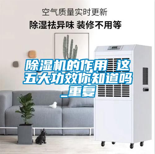 除濕機的作用 這五大功效你知道嗎_重復