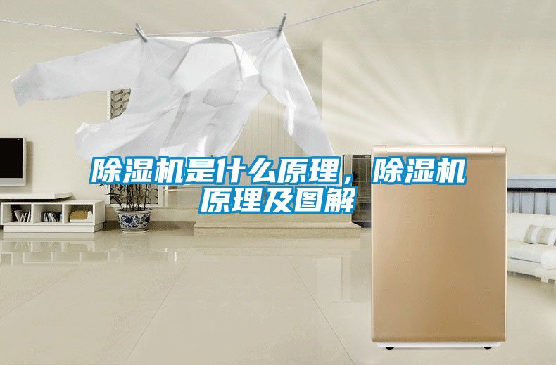 除濕機是什么原理，除濕機原理及圖解