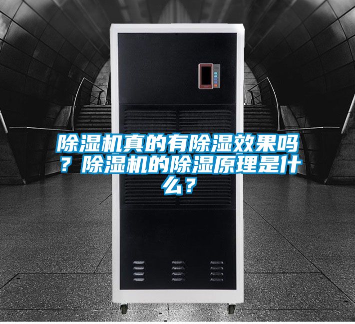 除濕機(jī)真的有除濕效果嗎？除濕機(jī)的除濕原理是什么？