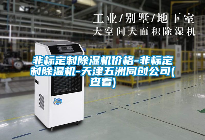 非標定制除濕機價格-非標定制除濕機-天津五洲同創公司(查看)