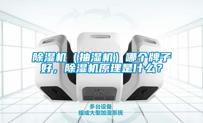 除濕機（抽濕機）哪個牌子好，除濕機原理是什么？