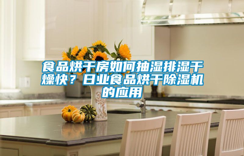 食品烘干房如何抽濕排濕干燥快？日業食品烘干除濕機的應用