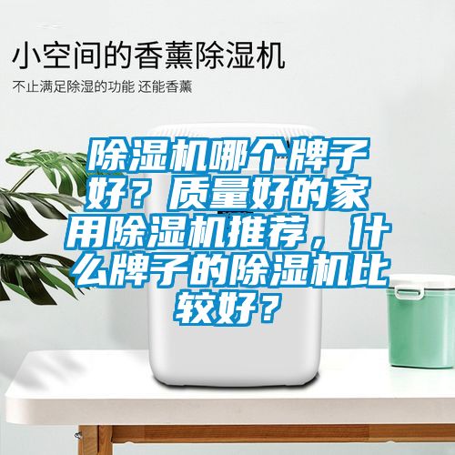 除濕機哪個牌子好？質量好的家用除濕機推薦，什么牌子的除濕機比較好？