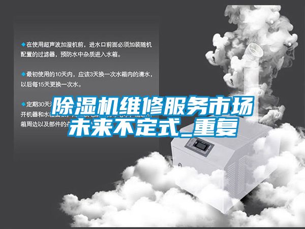 除濕機維修服務市場未來不定式_重復