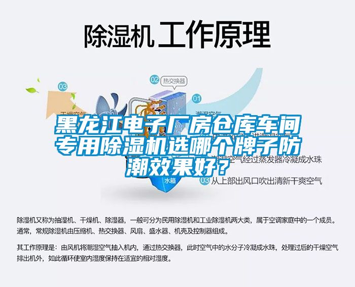 黑龍江電子廠房倉庫車間專用除濕機選哪個牌子防潮效果好？